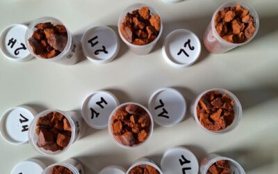 Sample preparation