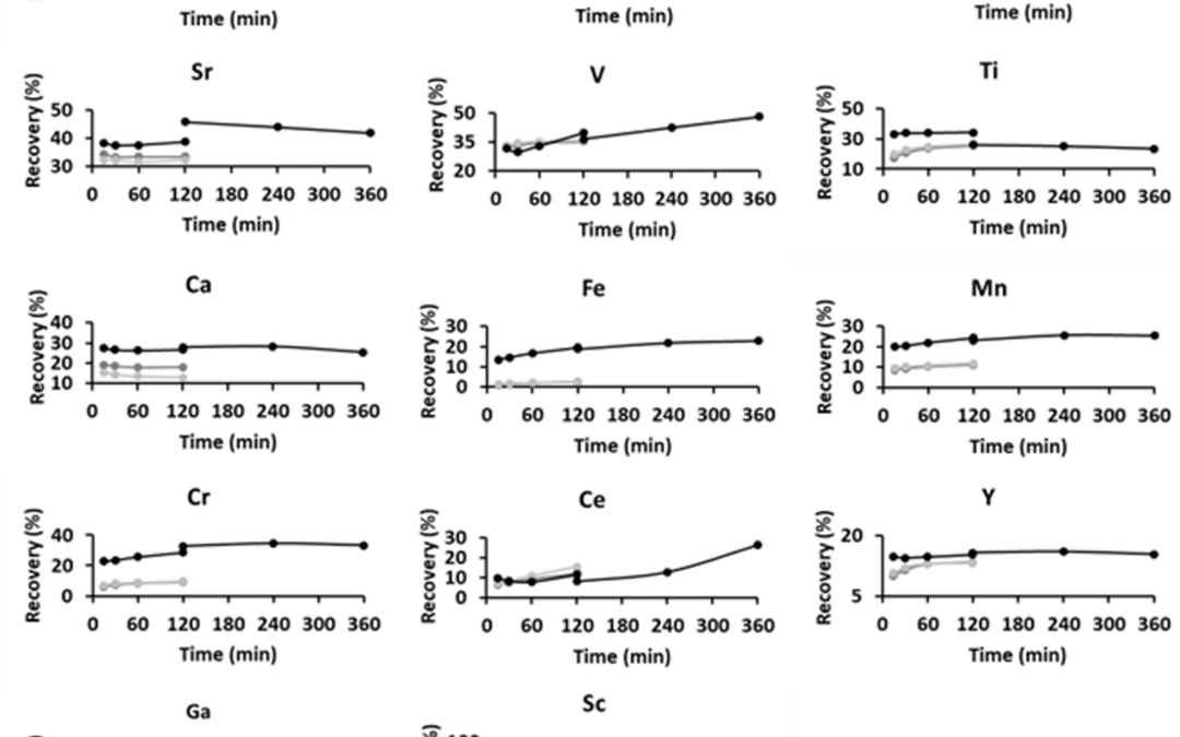 CRM’s Leaching and recovery  in the RM