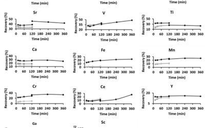 CRM’s Leaching and recovery in the RM